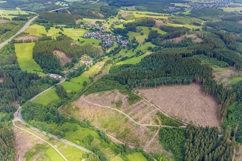Aerial view, forest area with forest damage, Gerlingen, Wenden, Sauerland, North Rhine-Westphalia,