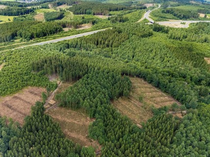 Aerial view, forest area with forest damage, Schönau, Wenden, Sauerland, North Rhine-Westphalia,