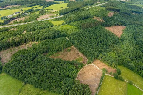Aerial view, forest area with forest damage, Schönau, Wenden, Sauerland, North Rhine-Westphalia,