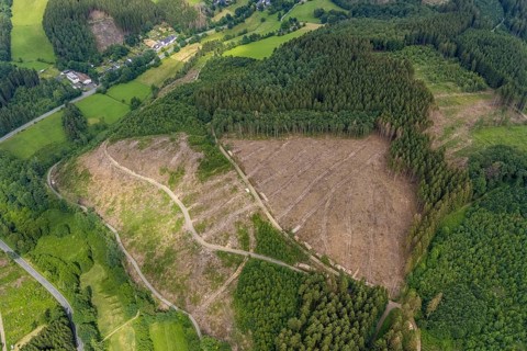 Aerial view, forest area with forest damage, Gerlingen, Wenden, Sauerland, North Rhine-Westphalia,