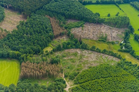 Aerial view, forest area with forest damage near Altenhof, Wenden, Sauerland, North