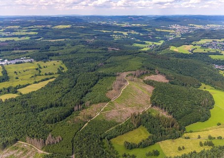 Aerial view, forest area with forest damage, Hünsborn, Wenden, Sauerland, North Rhine-Westphalia,