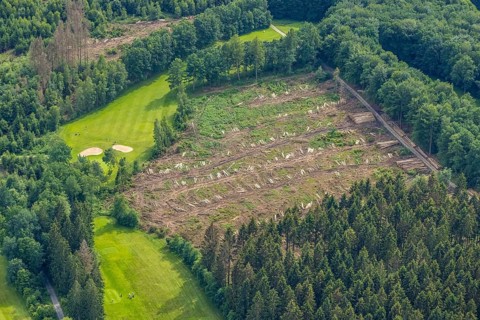 Aerial view, forest area with forest damage Dörnscheid, Ottfingen, Wenden, Sauerland, North