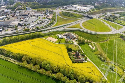 Aerial view, rape fields at the A44 motorway junction Hetterscheidt, Krehwinkler Höfe, Velbert,