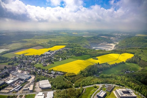 Aerial view, rape fields Rützkausen, limestone quarry Rohdenhaus, Velbert, Ruhr area, North
