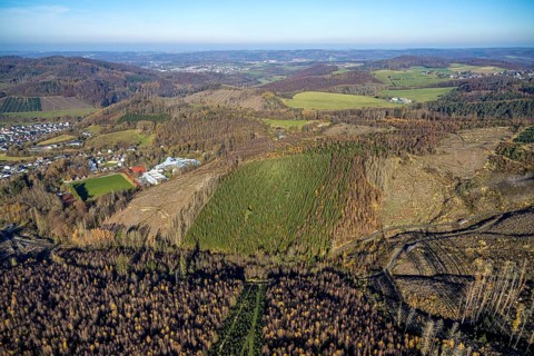 Aerial view, forest area with forest damage and sports and conference centre Hachen in the district