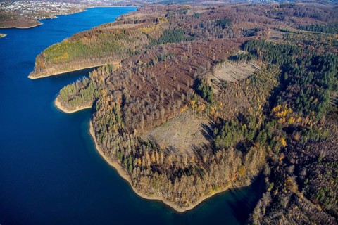 Aerial view, forest area with forest damage at the Sorpe lake in the district of Langscheid in