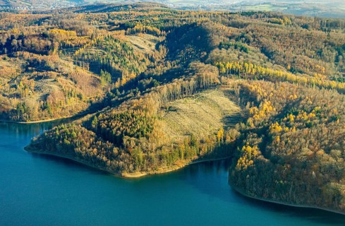 Aerial view, forest area with forest damage at the Sorpe lake in the district of Langscheid in