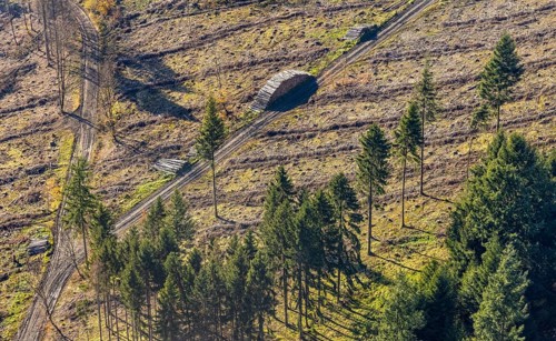 Aerial view, forest area with forest damage in the district of Amecke in Sundern, Sauerland, North
