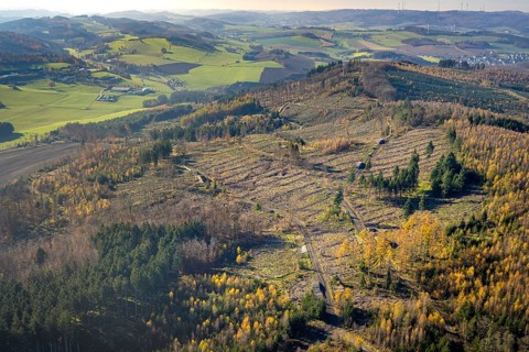Aerial view, forest area with forest damage in the district of Amecke in Sundern, Sauerland, North