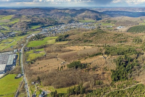 Aerial photo, forest damage in the forest area near Hachen, Sundern, Sauerland, North