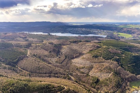Aerial photo, forest damage in the forest area at Lake Sorpe, Höhenweg, Hachen, Sundern, Sauerland,