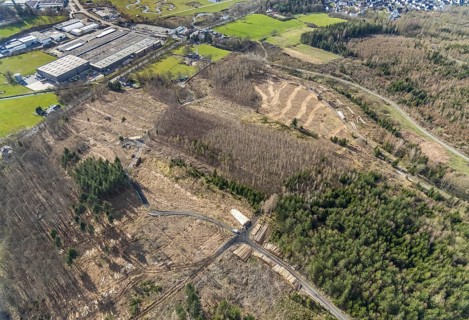 Aerial photo, forest damage in the forest area near Hachen, Sundern, Sauerland, North