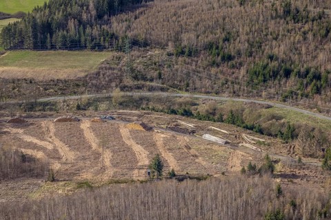 Aerial photo, forest damage in the forest area near Hachen, Sundern, Sauerland, North