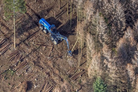 Aerial view, forest damage in forest area with harvester near Hellefeld, Westenfeld, Sundern,