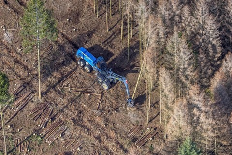 Aerial view, forest damage in forest area with harvester near Hellefeld, Westenfeld, Sundern,