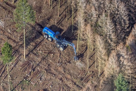 Aerial view, forest damage in forest area with harvester near Hellefeld, Westenfeld, Sundern,