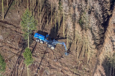 Aerial view, forest damage in forest area with harvester near Hellefeld, Westenfeld, Sundern,