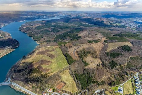 Aerial photo, forest damage in the forest area at Sorpesee, Amecke, Sundern, Sauerland, North