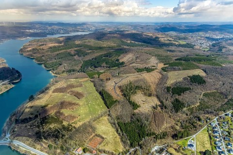 Aerial photo, forest damage in the forest area at Sorpesee, Amecke, Sundern, Sauerland, North