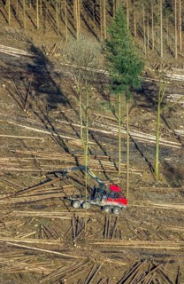 Aerial view, forest damage in forest area with harvester near Hellefeld, Westenfeld, Sundern,