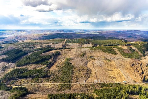 Aerial view, forest damage in the forest area near Hellefeld, Westenfeld, Sundern, Sauerland, North