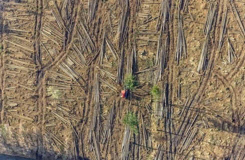 Aerial view, forest damage in forest area with harvester near Hellefeld, Westenfeld, Sundern,