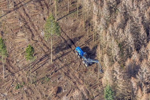 Aerial view, forest damage in forest area with harvester near Hellefeld, Westenfeld, Sundern,