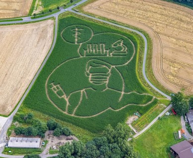 Benedikt Lünemann conjures up a maize labyrinth in his field every year. It is usually socially