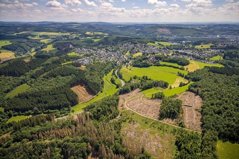 Aerial view, forest area with forest damage in Rhode, Olpe, Sauerland, North Rhine-Westphalia,