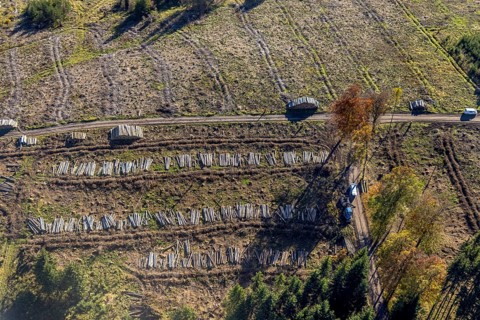 Aerial photograph, forest area with forest damage in the Bigge district of Olsberg, Sauerland,