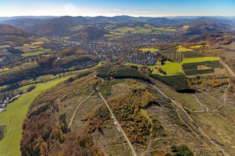 Aerial photograph, forest area with forest damage in the Bigge district of Olsberg, Sauerland,