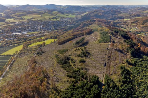 Aerial photograph, forest area with forest damage in the Bigge district of Olsberg, Sauerland,