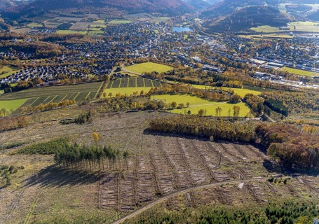 Aerial photograph, forest area with forest damage in the Bigge district of Olsberg, Sauerland,