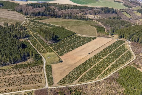Aerial view, field work with tractor, Am Donscheid, Fredeburg, Schmallenberg, Sauerland, North