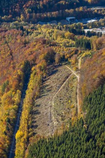 Luftbild, Waldgebiet mit Waldschäden im Ortsteil Bigge in Olsberg, Sauerland, Nordrhein-Westfalen,