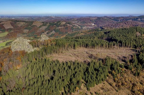 Aerial view, autumn forest and forest damage and Bruchhauser Steine in the district Bruchhausen in