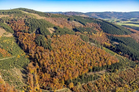 Aerial view, autumn forest and Bruchhauser Steine in the district Bruchhausen in Olsberg,