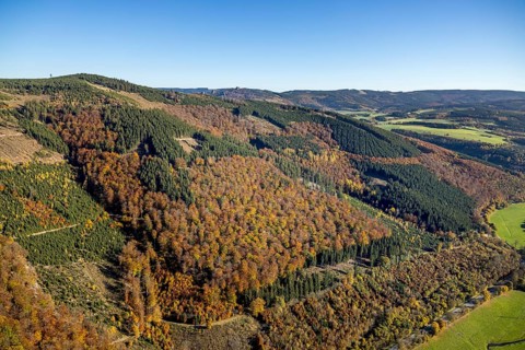 Aerial view, autumn forest and Bruchhauser Steine in the district Bruchhausen in Olsberg,
