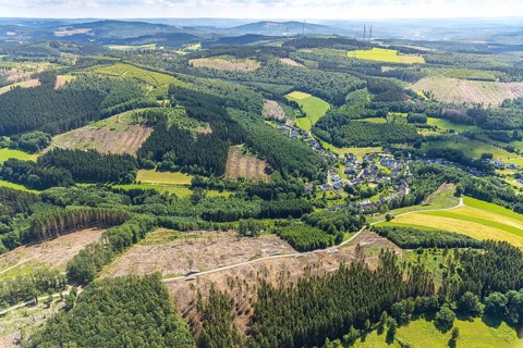 Aerial view, forest area with forest damage and clear cutting, Neuenkleusheimer Wald,