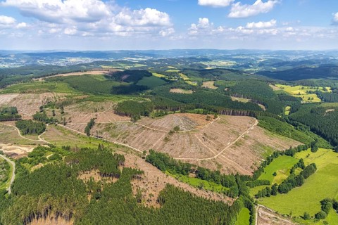 Aerial view, forest area with forest damage and clear cutting, Oberveischede, Olpe, Sauerland,