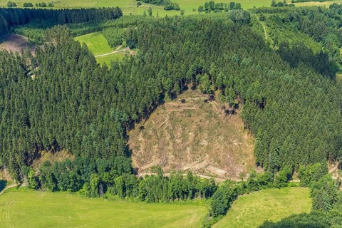 Aerial view, forest area with forest damage in Oberveischede, Olpe, Sauerland, North