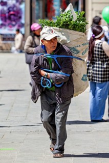 A man carries a large bag of herbs on a sunny city street, A man carries a heavy basket through the