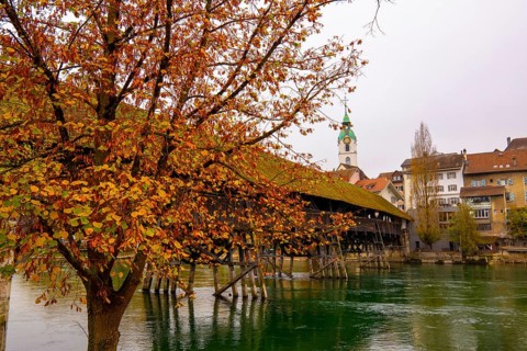 Old Town and the Historical Covered Wood Bridge Holzbrücke over River Aare in an Autumn Day in