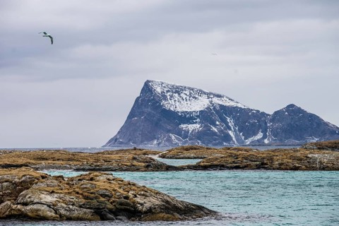 Norway tromsö snow mountains sea