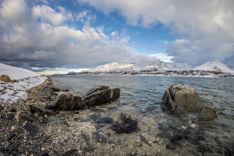 Norway tromsö snow mountains sea