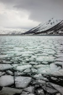 Norway tromsö ice floes ice winter cold mountains