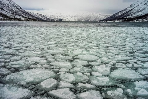 Norway tromsö ice floes ice winter cold mountains