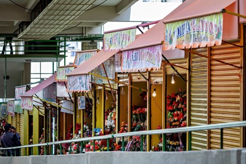 Quiet row of flower shops with creatively presented, colourful flowers, small shops and restaurants
