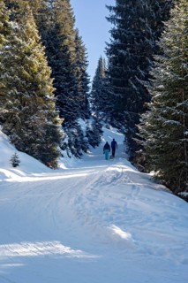 Two tobogganists on the ascent, toboggan run, Tyrol, Austria